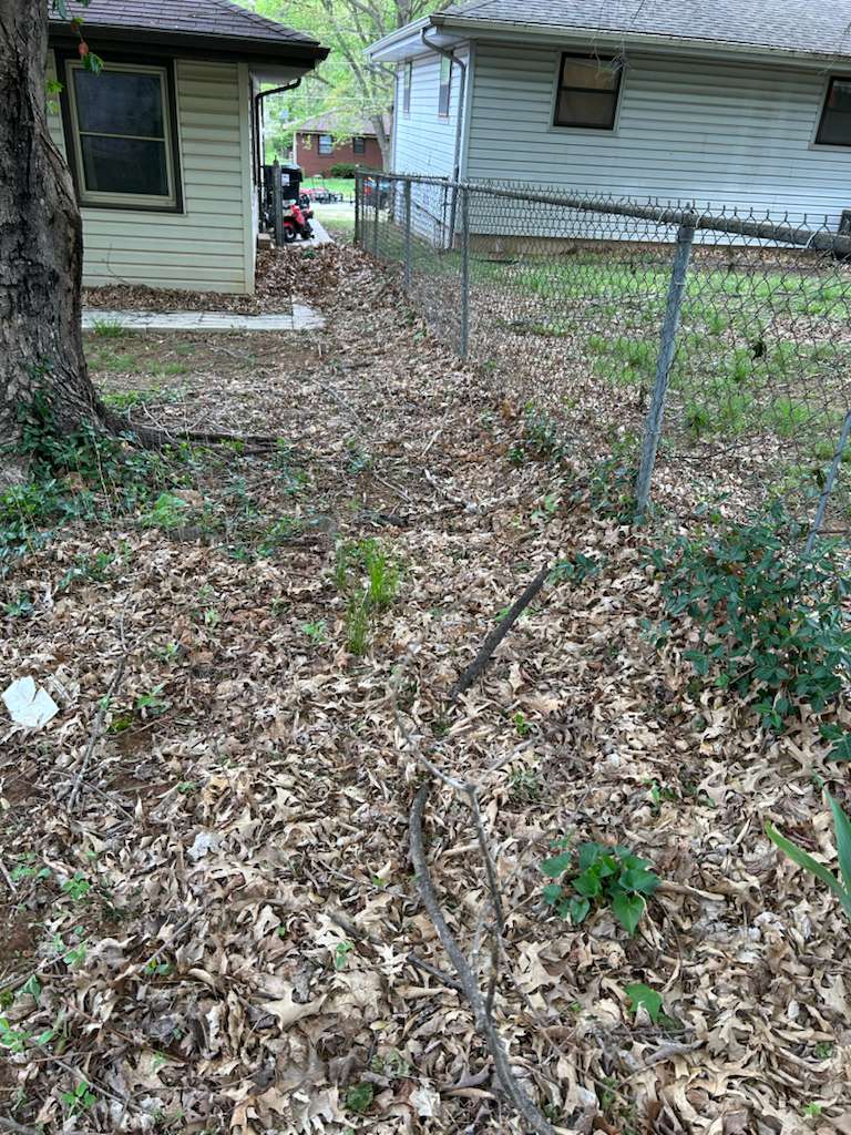 Leaf cleanup service in backyard