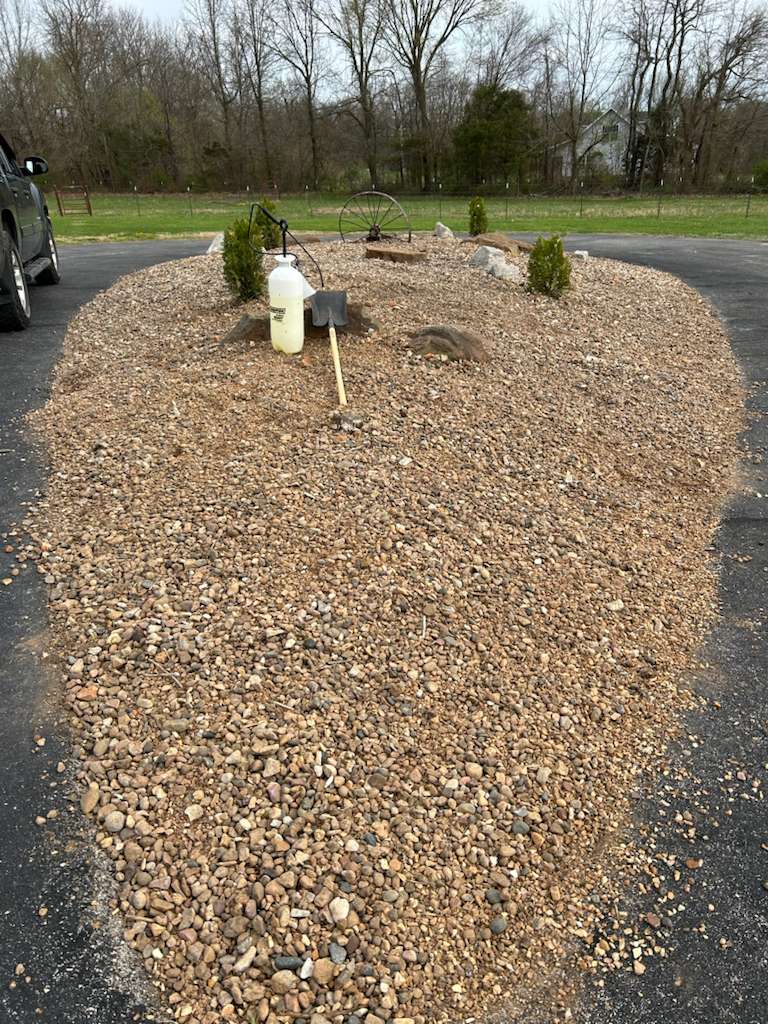 Gravel landscaping with evergreen shrubs