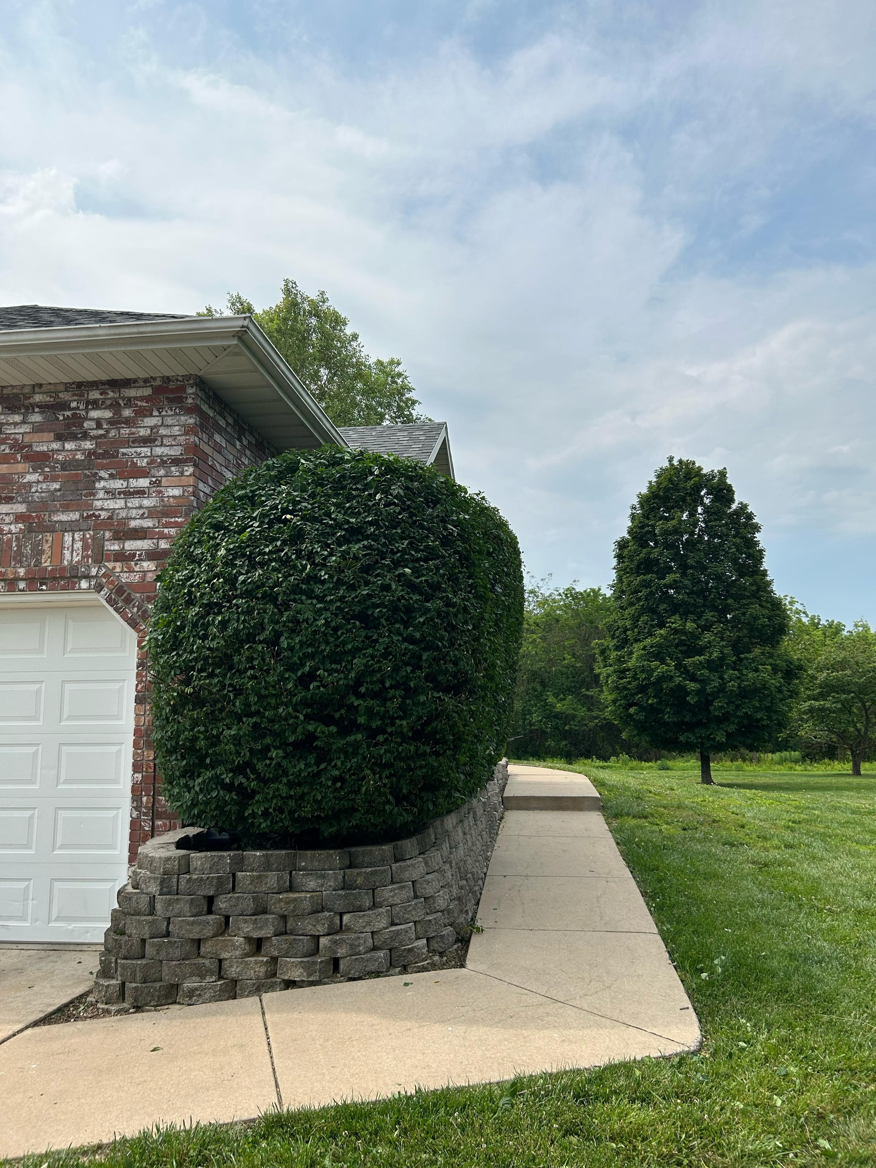 Brush clearing service