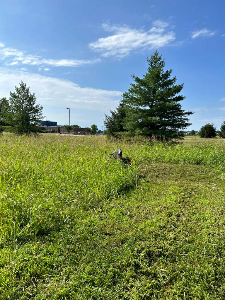 Fall cleanup service