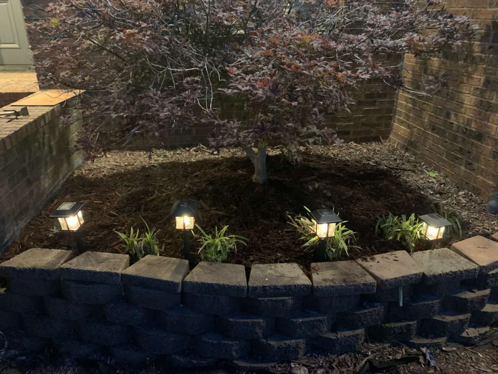 Raised garden bed with solar lights and Japanese maple tree