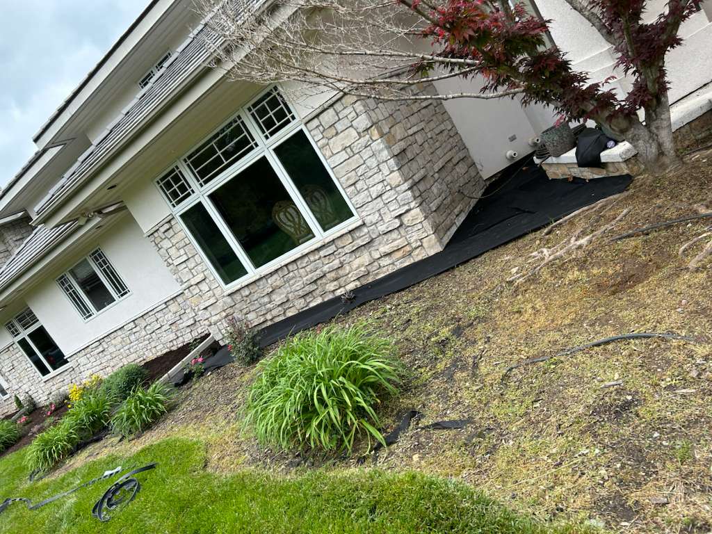 Garden weeding and cleanup