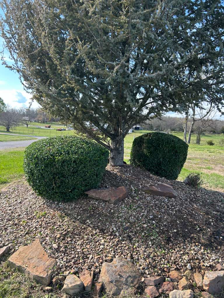 Landscape design work