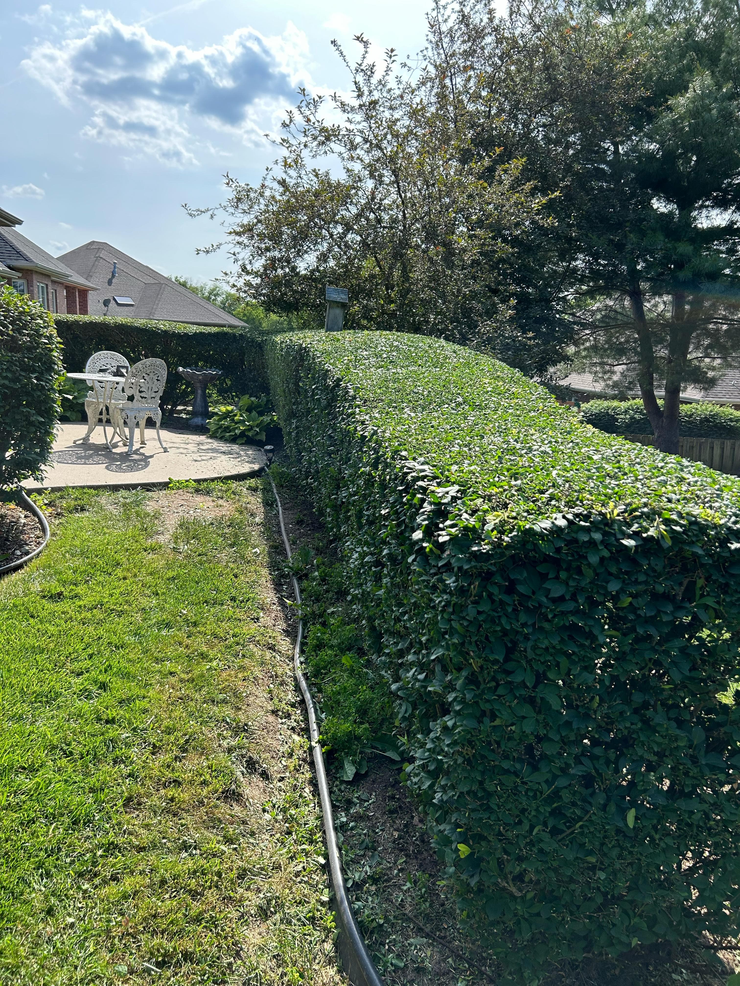 Lawn dethatching service