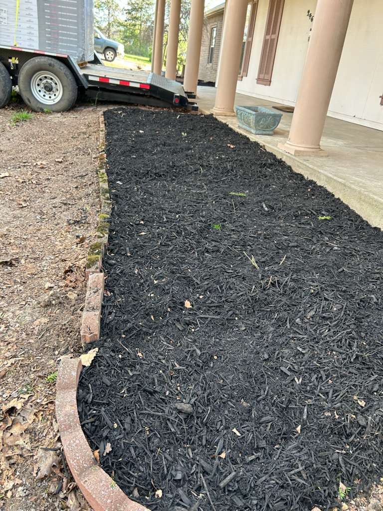 Lawn restoration project