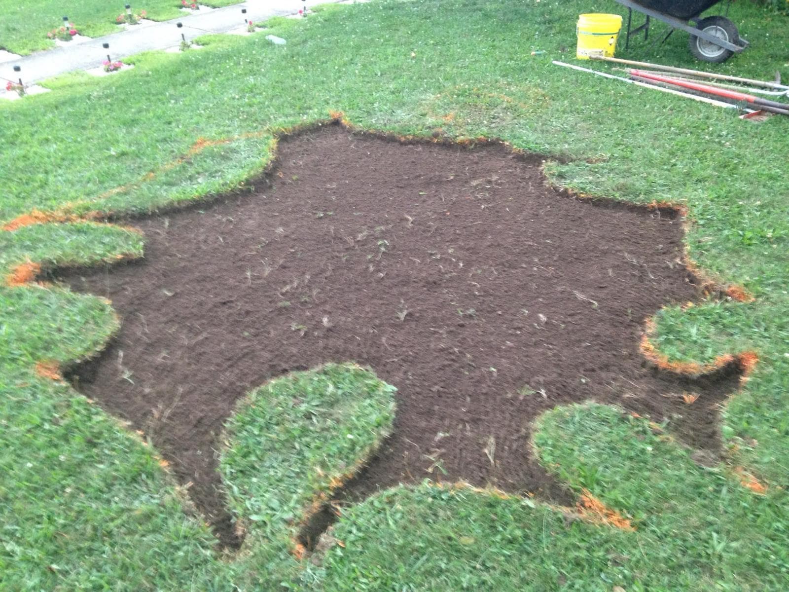 Lawn preparation with soil patch on green grass