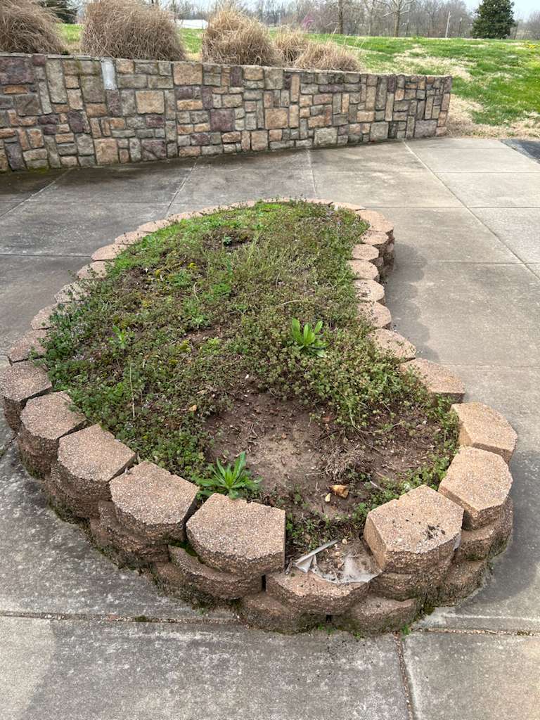 Mulch installation project