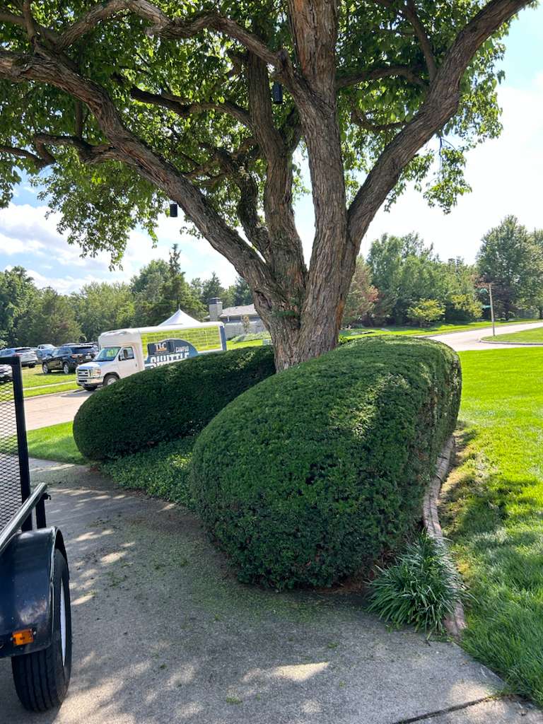 Property cleanup service