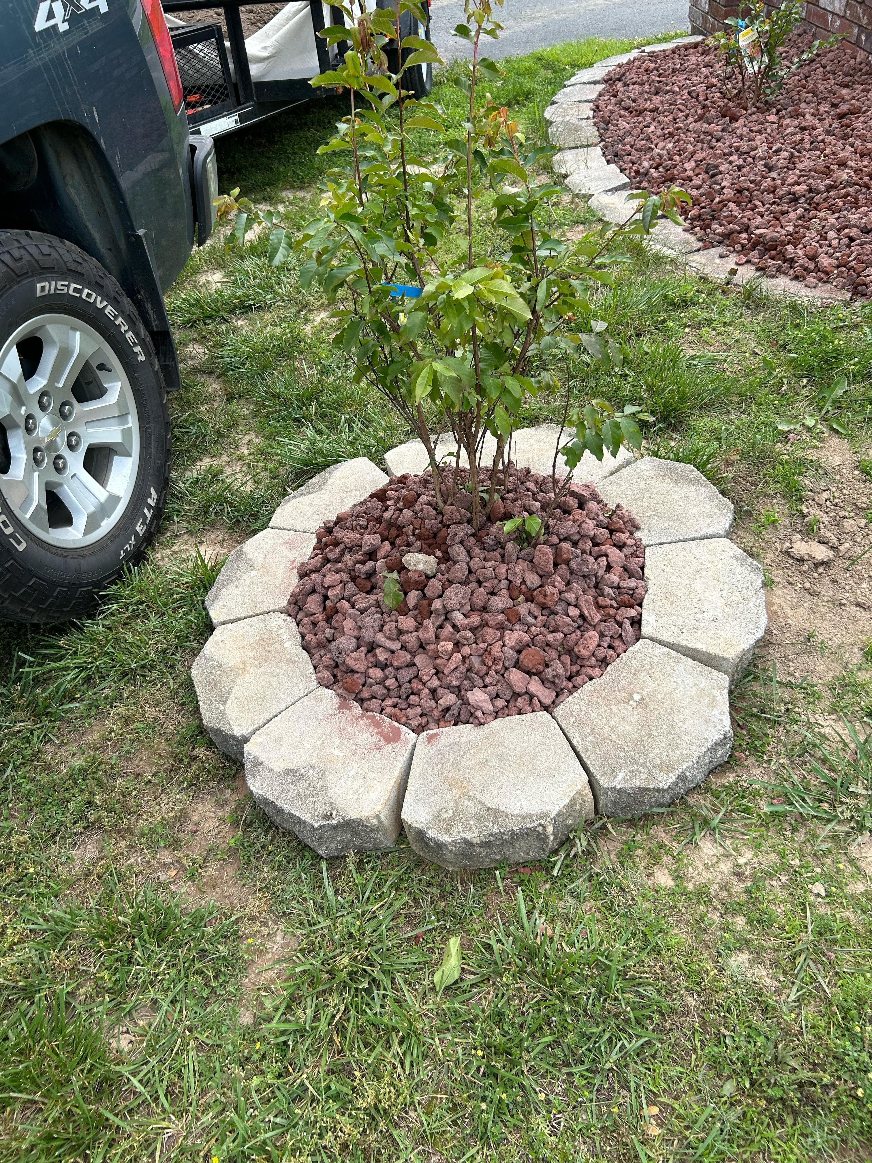 Tree ring with decorative paver stones